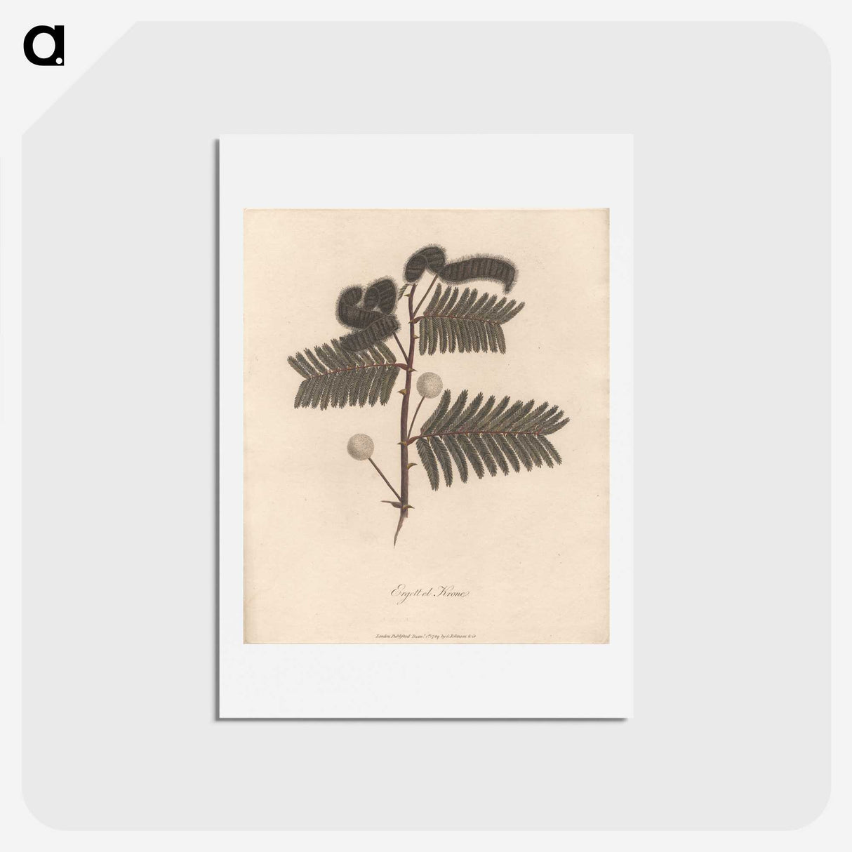 1-59_James-Heath_hagaki