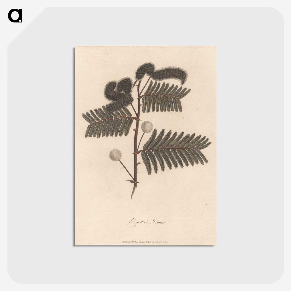 1-59_James-Heath_postcard