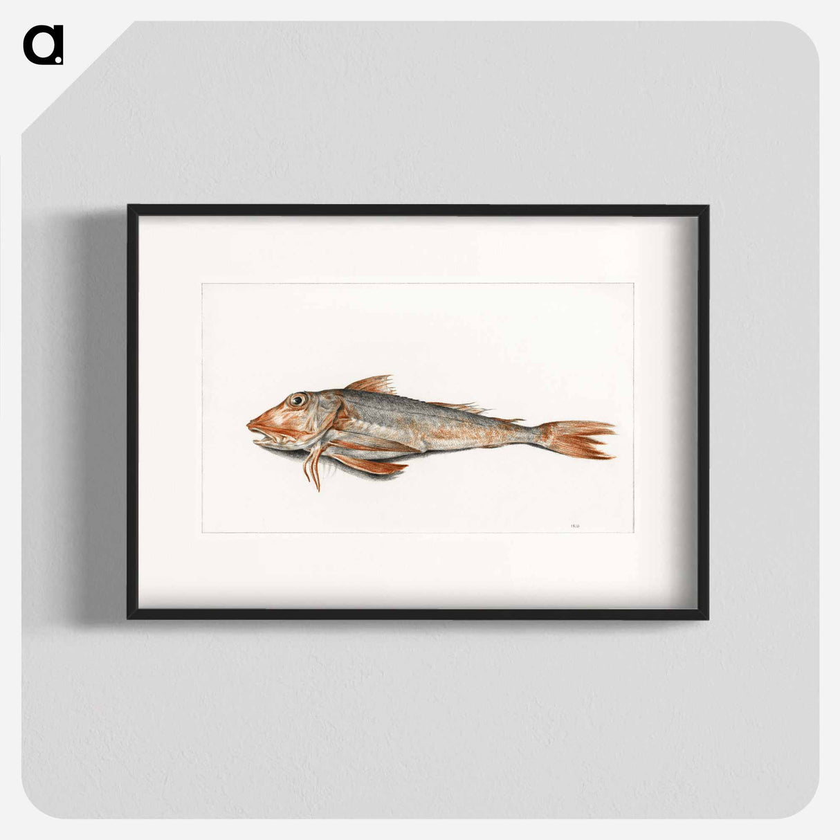 Fish - ジャン ベルナール Poster.