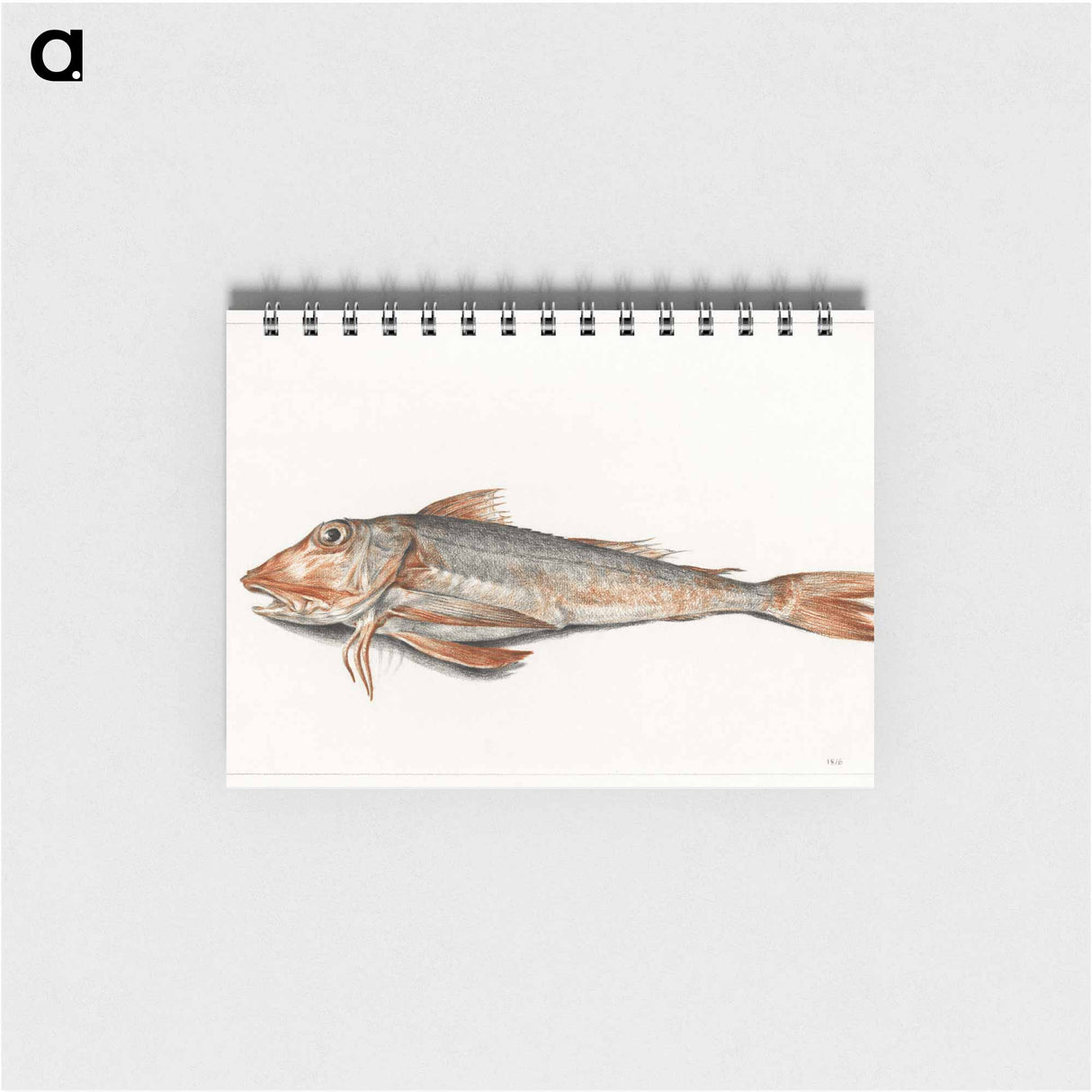 Fish - ジャン ベルナール Memo.