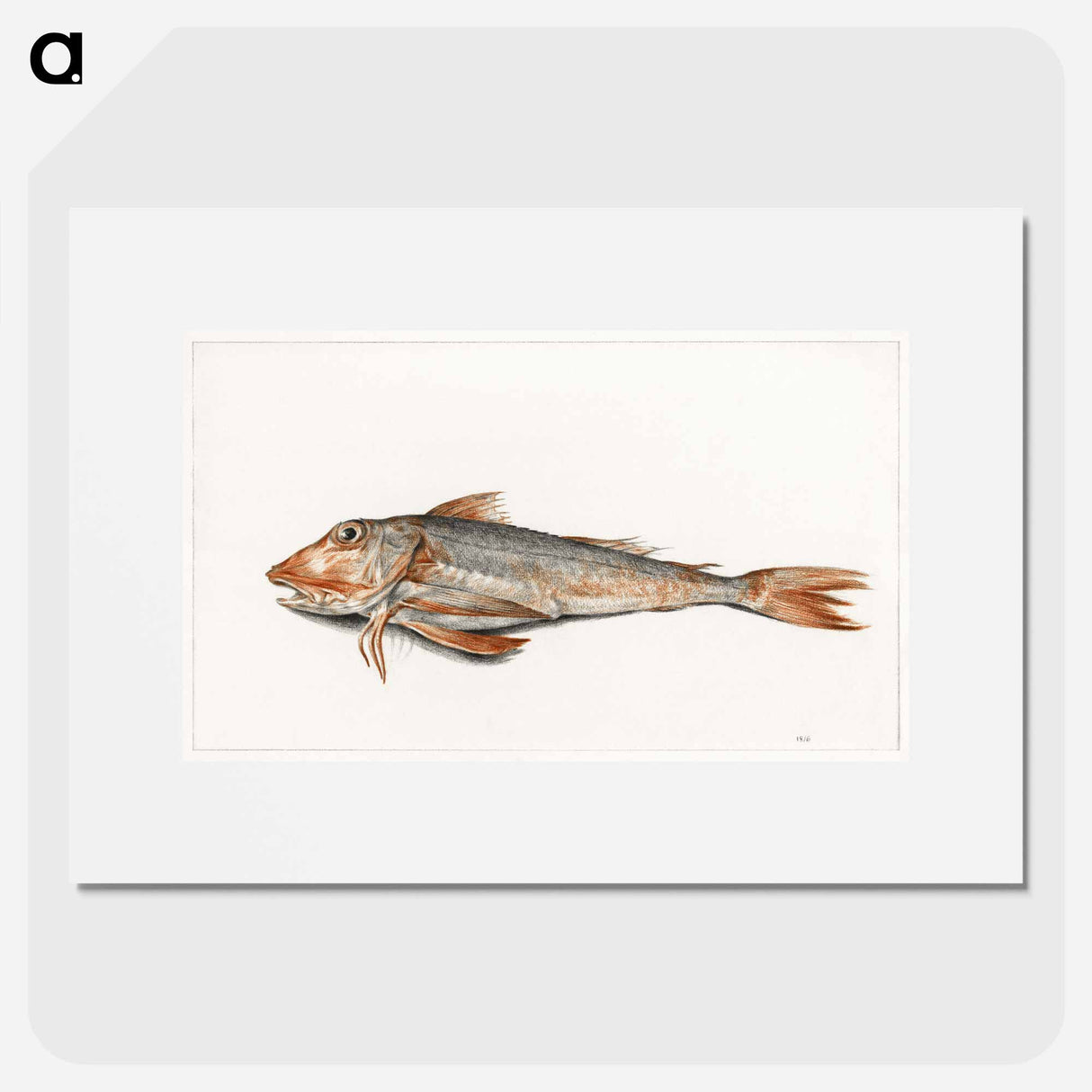 Fish - ジャン ベルナール Poster.