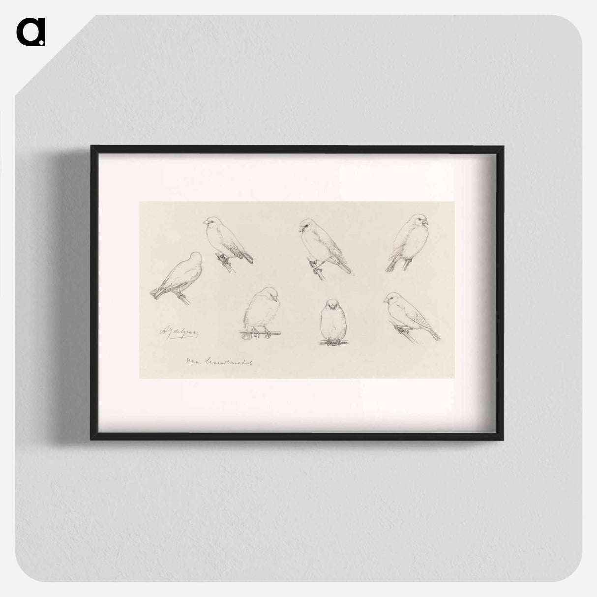 The canaries sketch - ユリー デ フラーハ Poster.