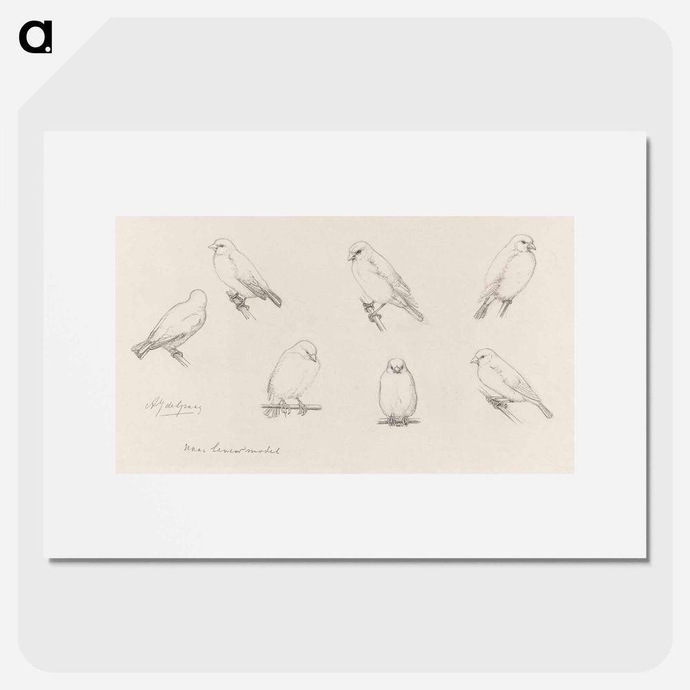 The canaries sketch - ユリー デ フラーハ Poster.