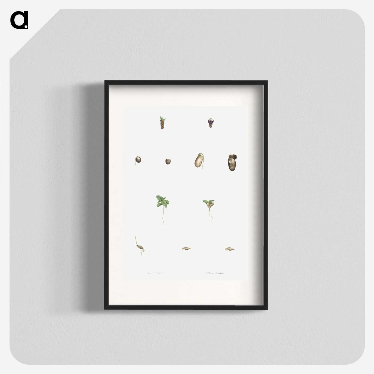 1-59_La-Botanique_blk