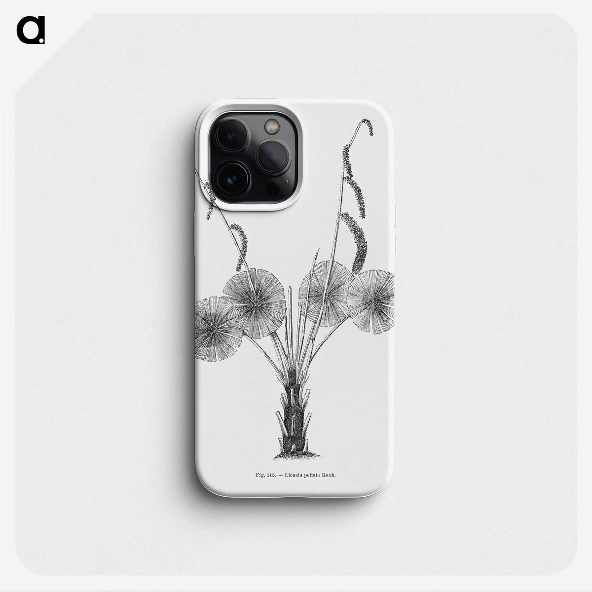 1-59_Les-Palmiers-Histoire-Iconographique_phone