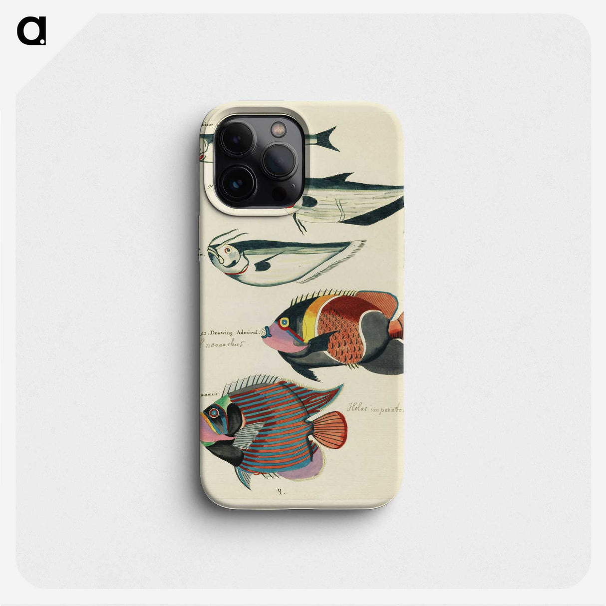 1-59_Louis-Renard_phone