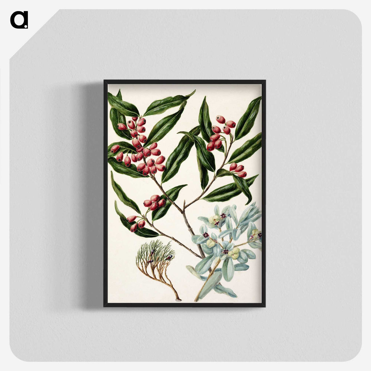 1-59_Native-Flowering-Plants-of-New-Zealand_blk-crop