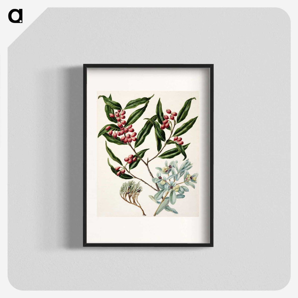 1-59_Native-Flowering-Plants-of-New-Zealand_blk