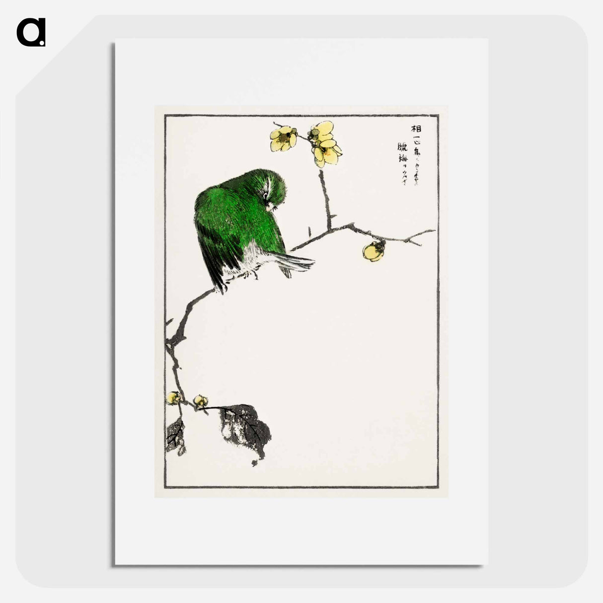 アートポスター-Fairy Pitta and Japanese Allspice
- 鳥類図鑑 Poster.