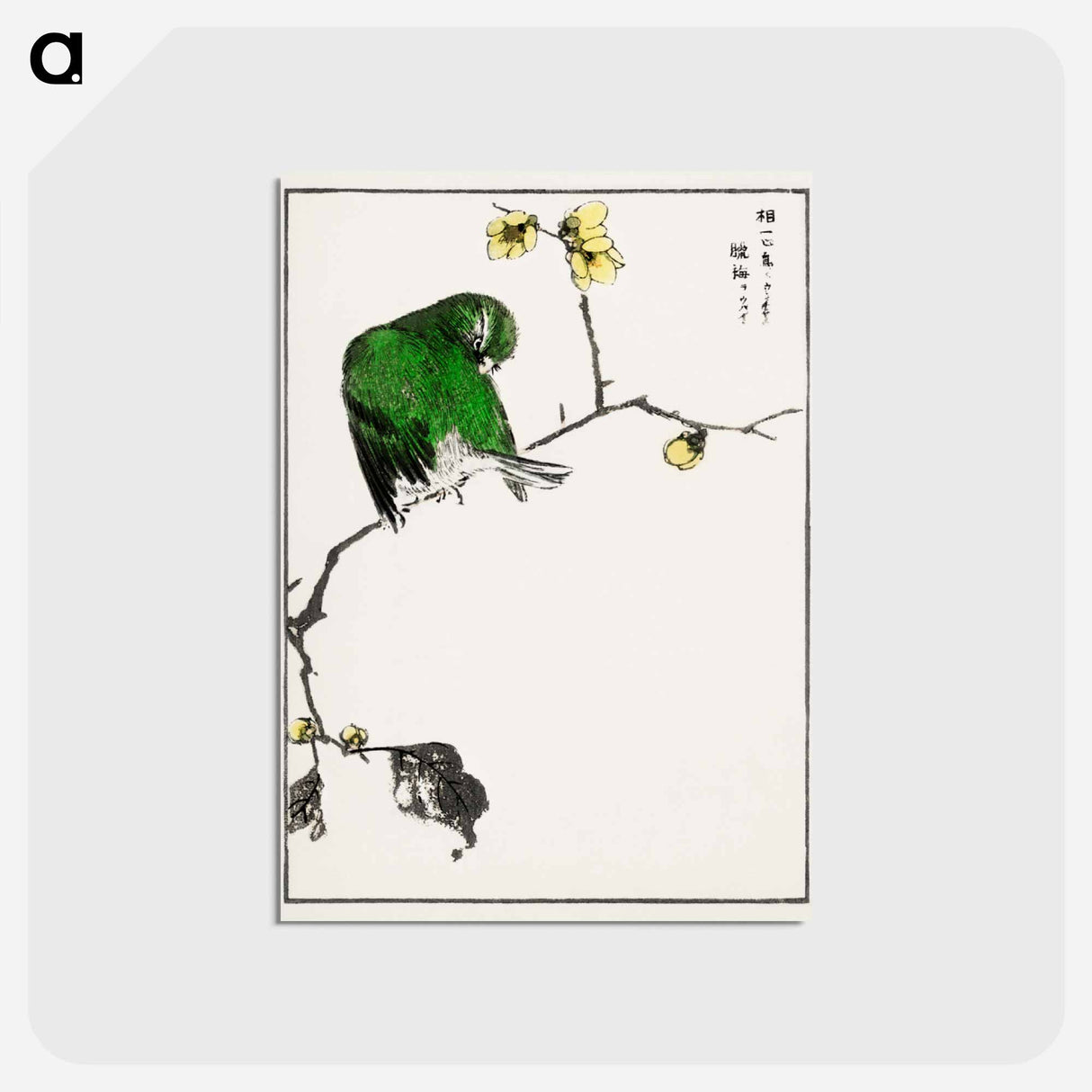 アートポストカード-Fairy Pitta and Japanese Allspice
- 鳥類図鑑 Postcard.