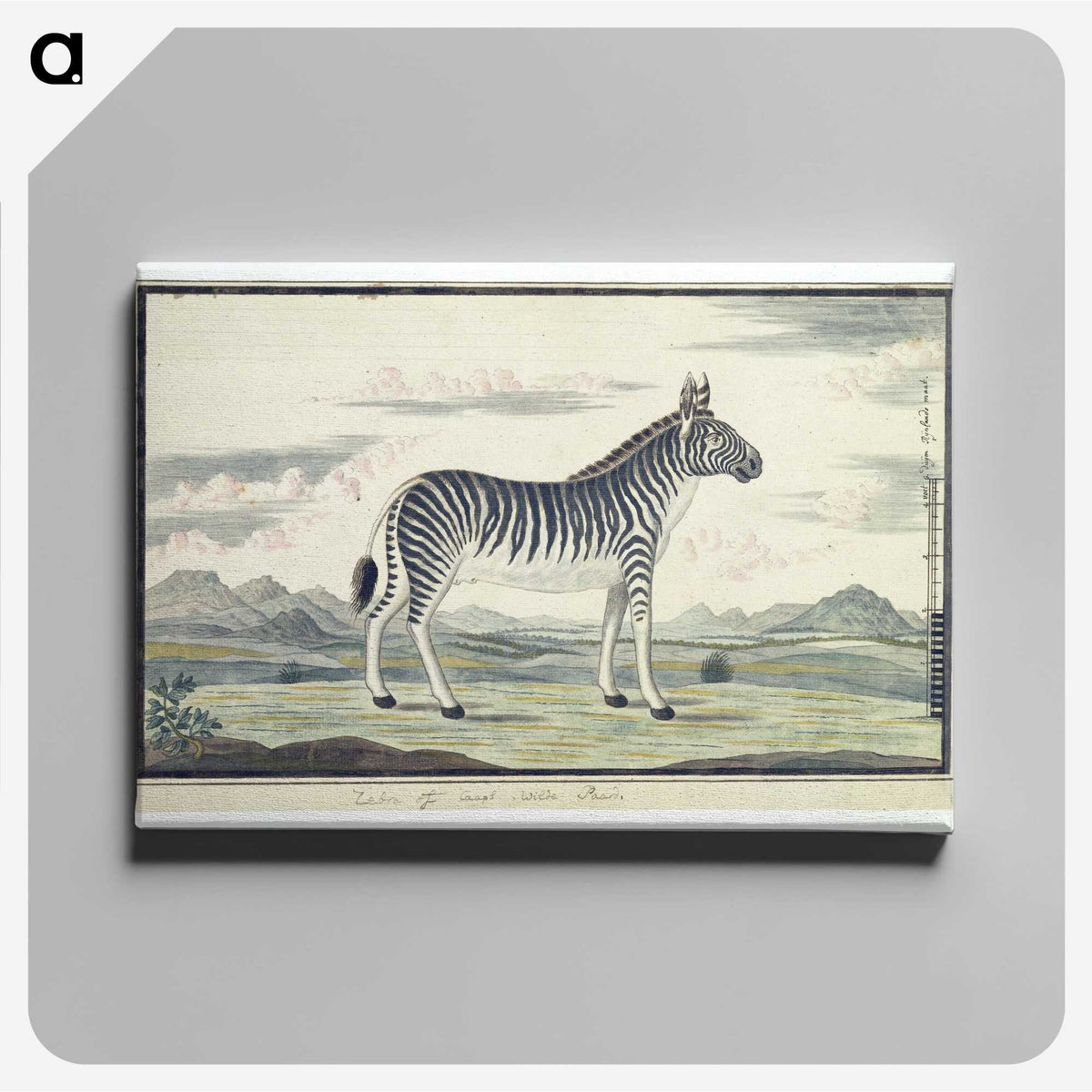 1-59_Robert-Jacob-Gordon_canvas