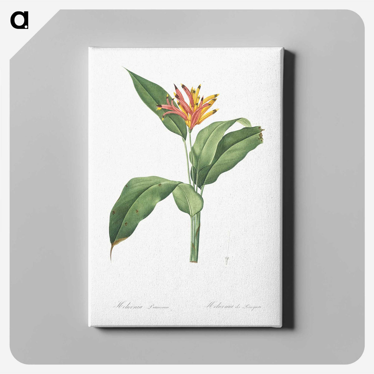 1-59_The-Lilies_canvas