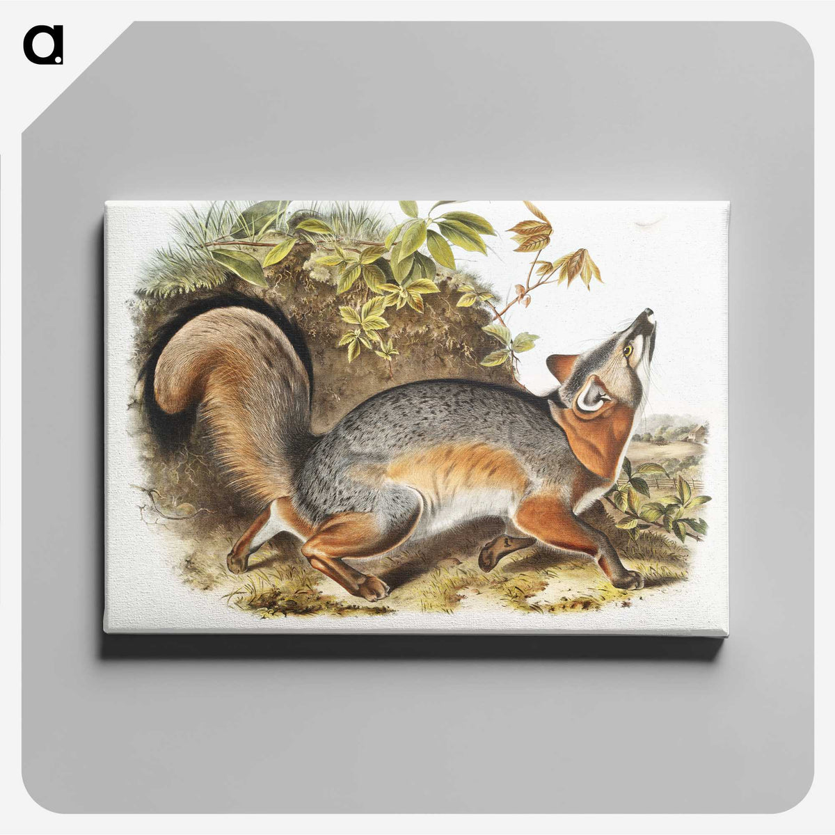 1-59_The-Viviparous-Quadrupeds_canvas