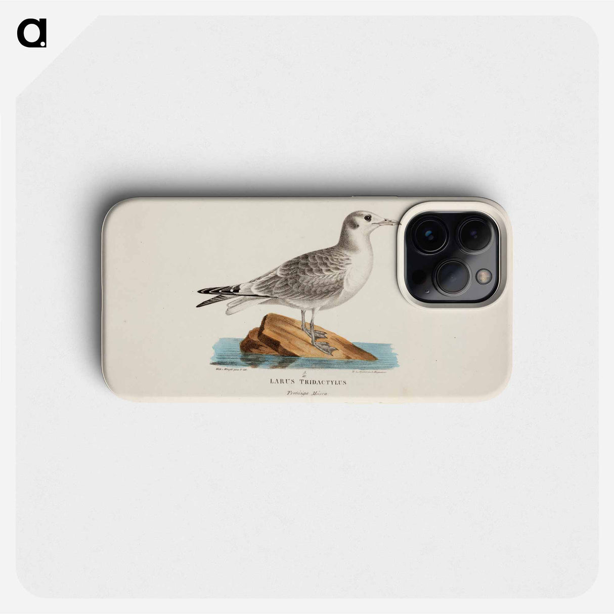 Kittiwake - Wilhelm von Wright Phone Case.
