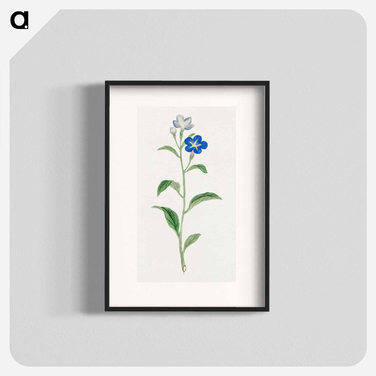 Hotarugusa - 19世紀の日本の花 Poster.