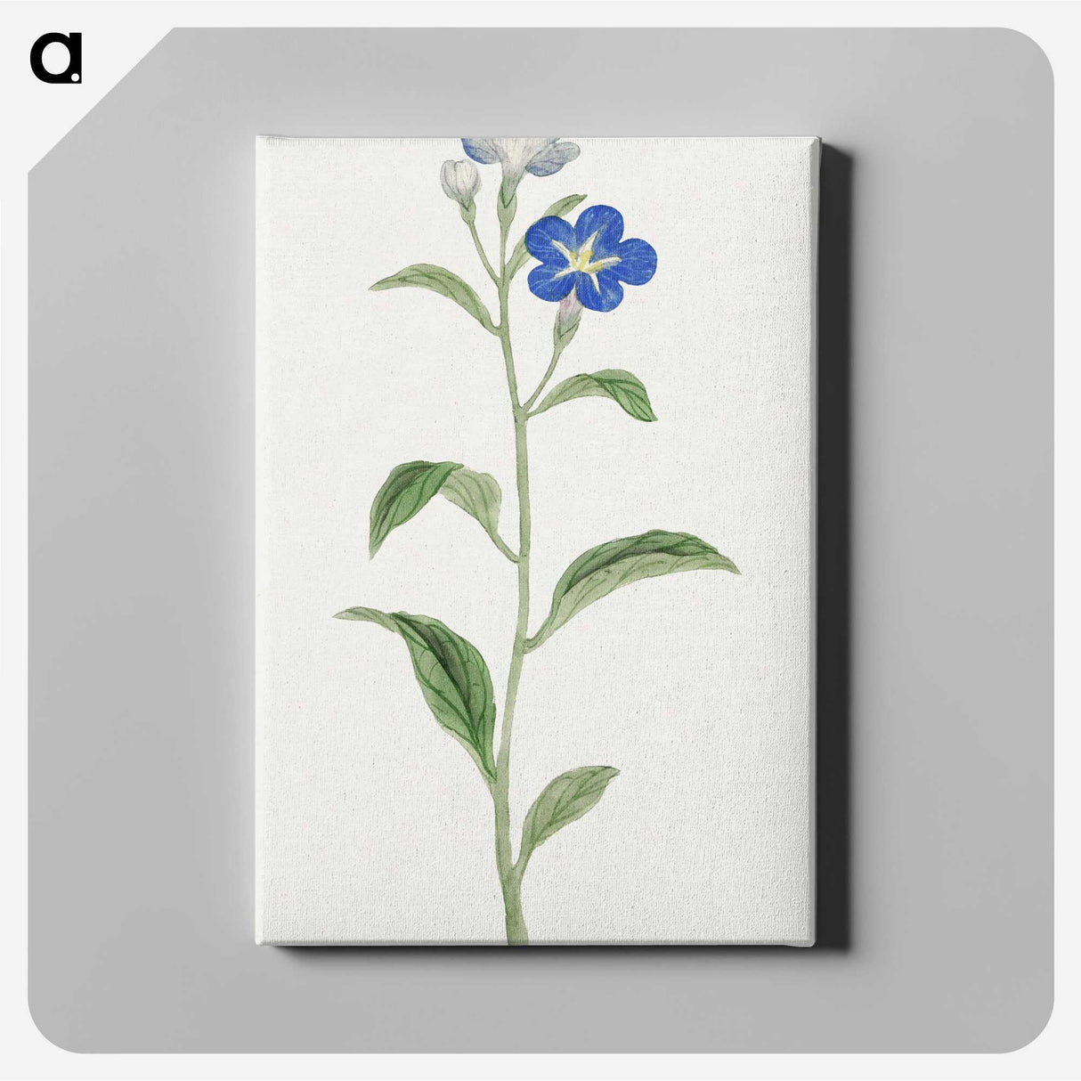 1-5_19th-Century-Japanese-Flowers_canvas