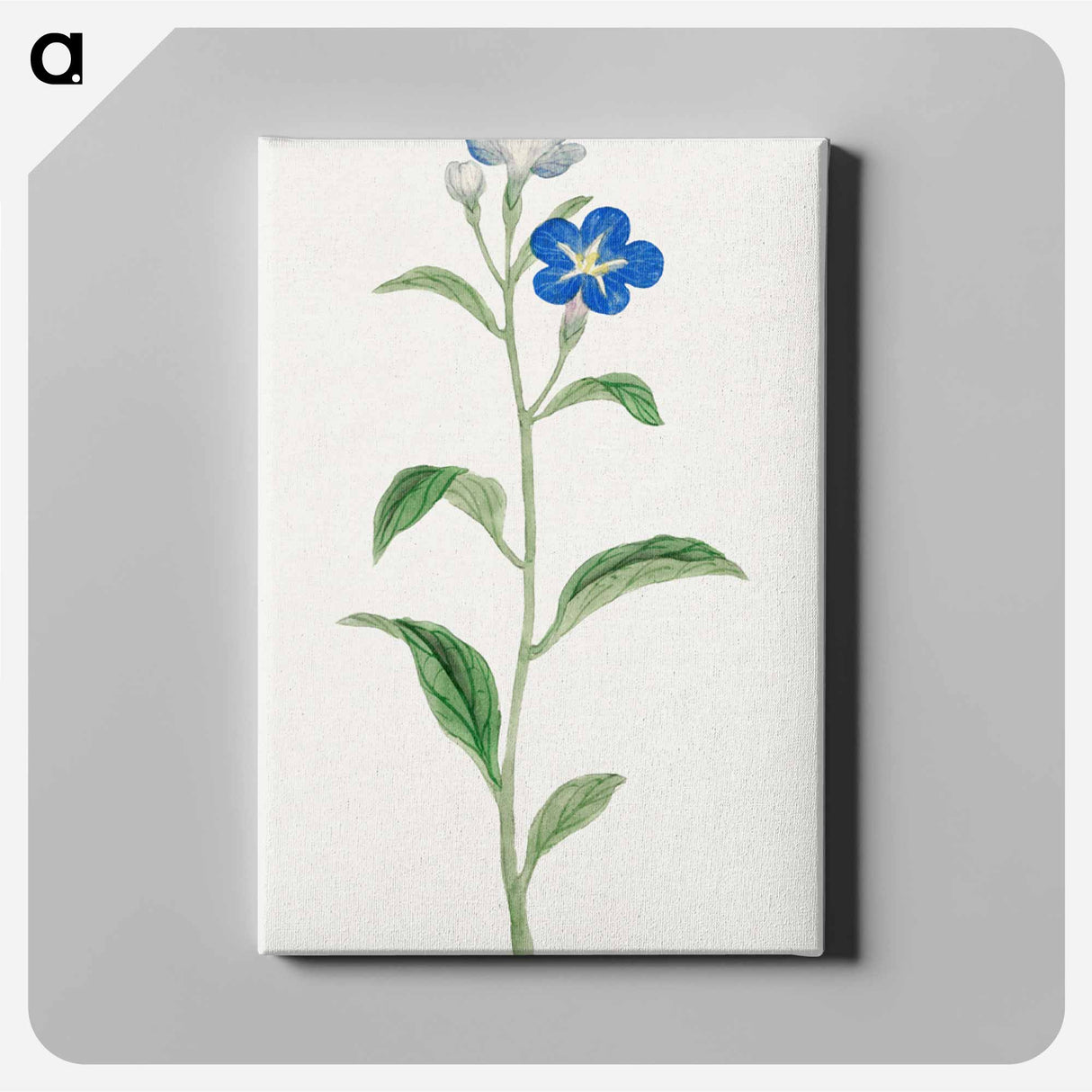 Hotarugusa - 19世紀の日本の花 Canvas.