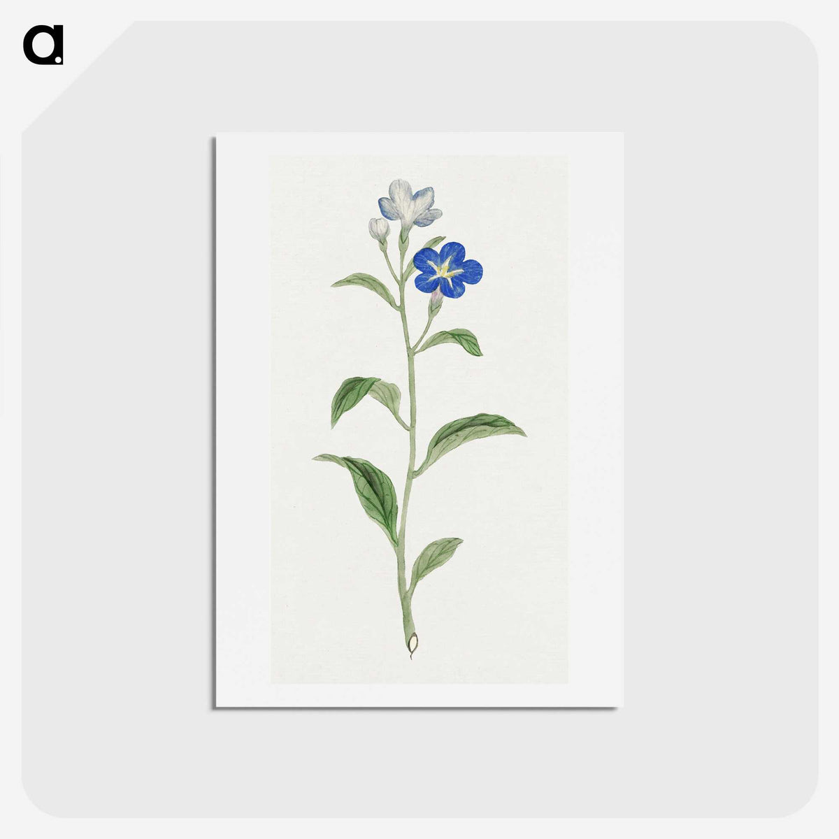 1-5_19th-Century-Japanese-Flowers_hagaki