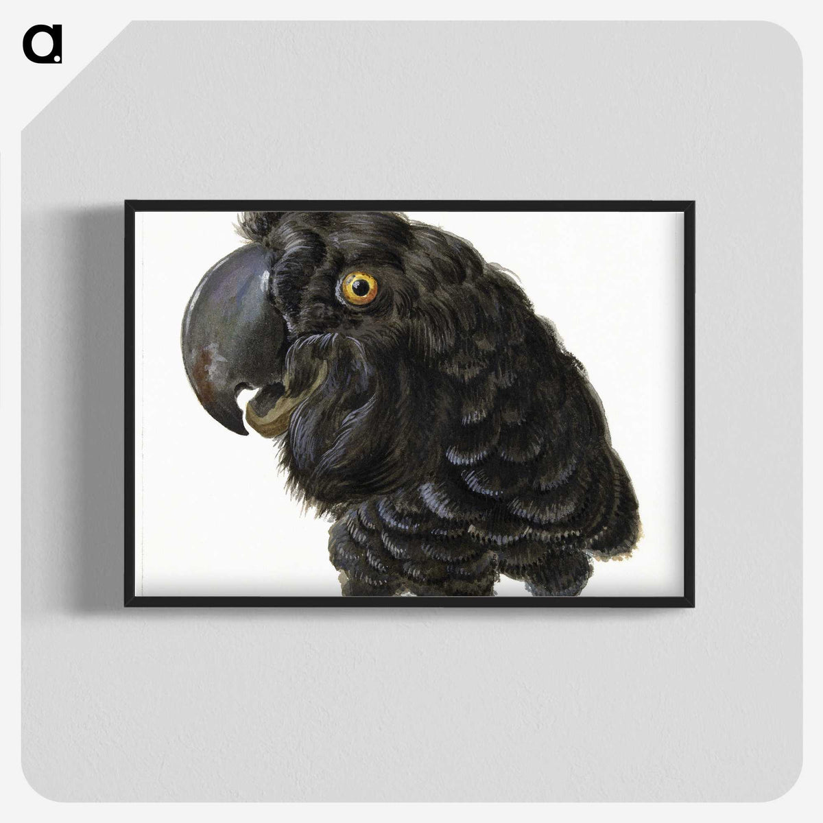 1-5_Aert-Schouman_blk-crop