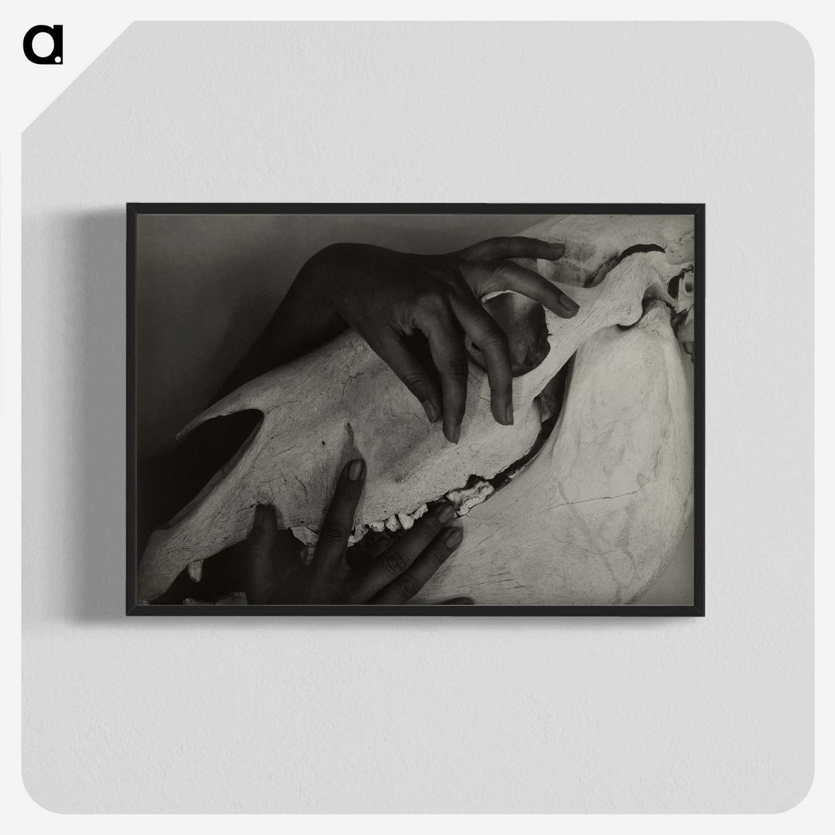1-5_Alfred-Stieglitz_blk-crop