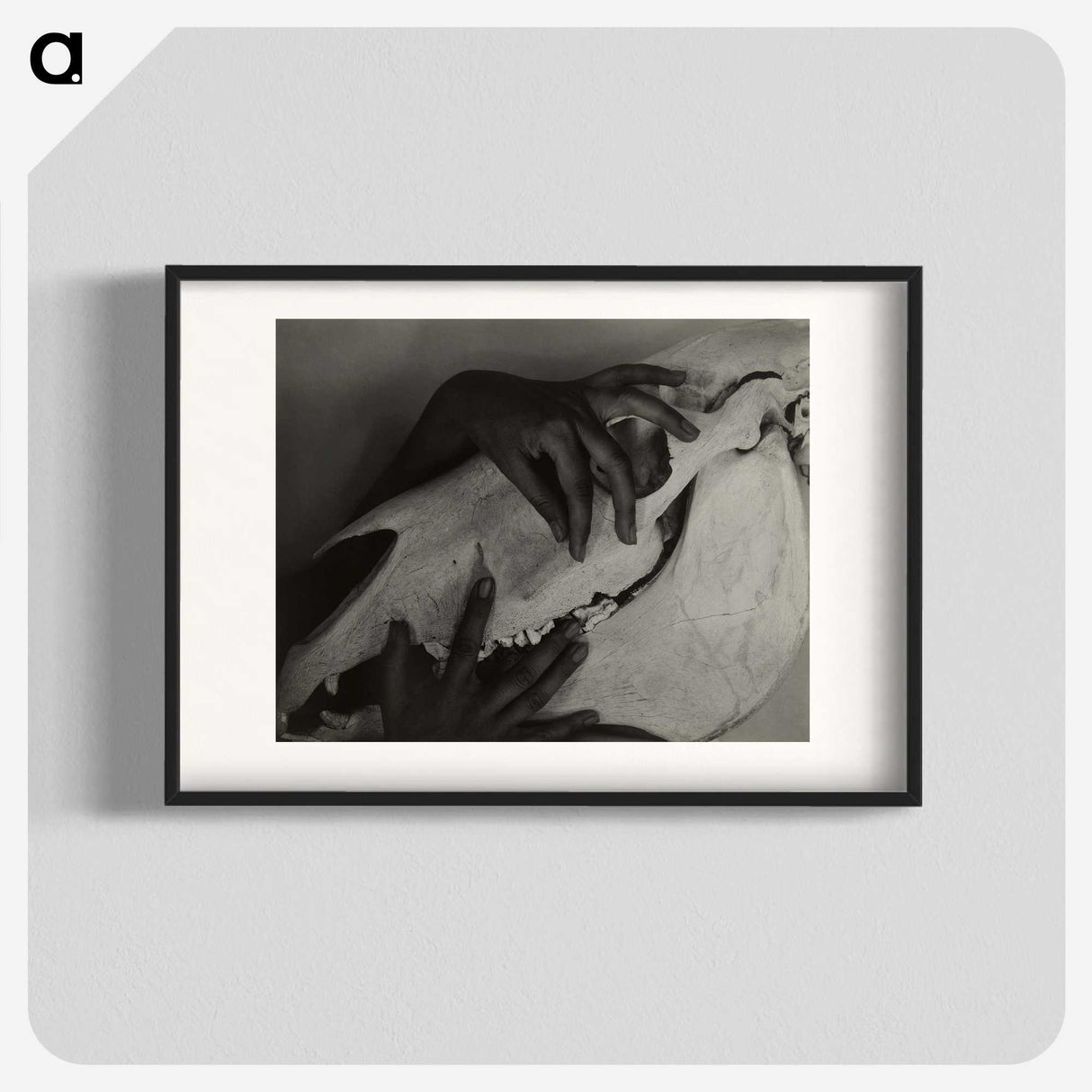 1-5_Alfred-Stieglitz_blk