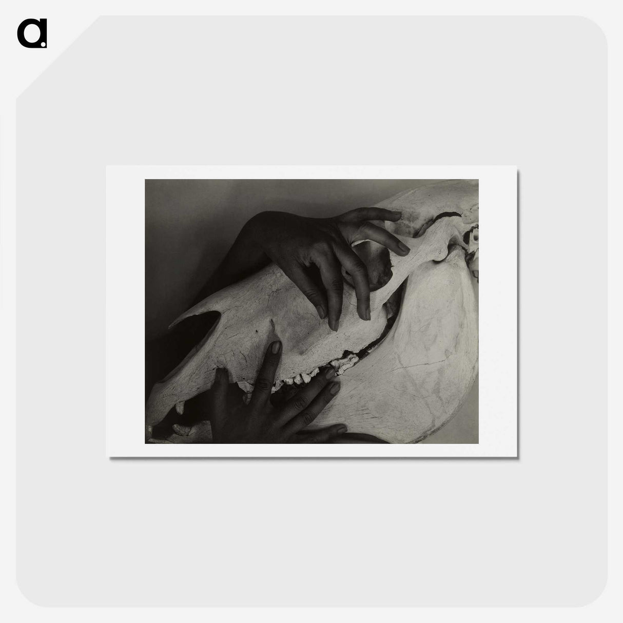 1-5_Alfred-Stieglitz_hagaki