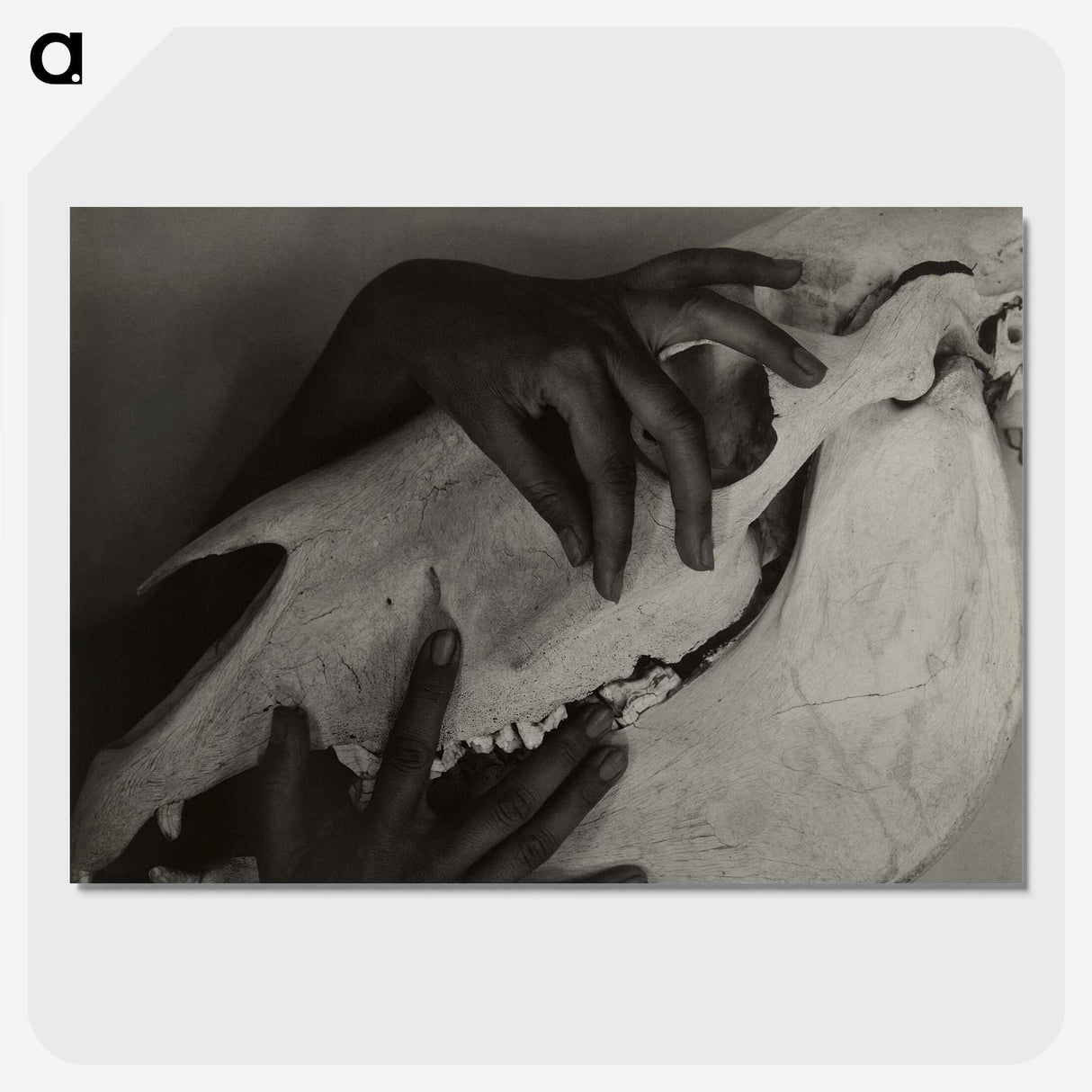1-5_Alfred-Stieglitz_picture-crop