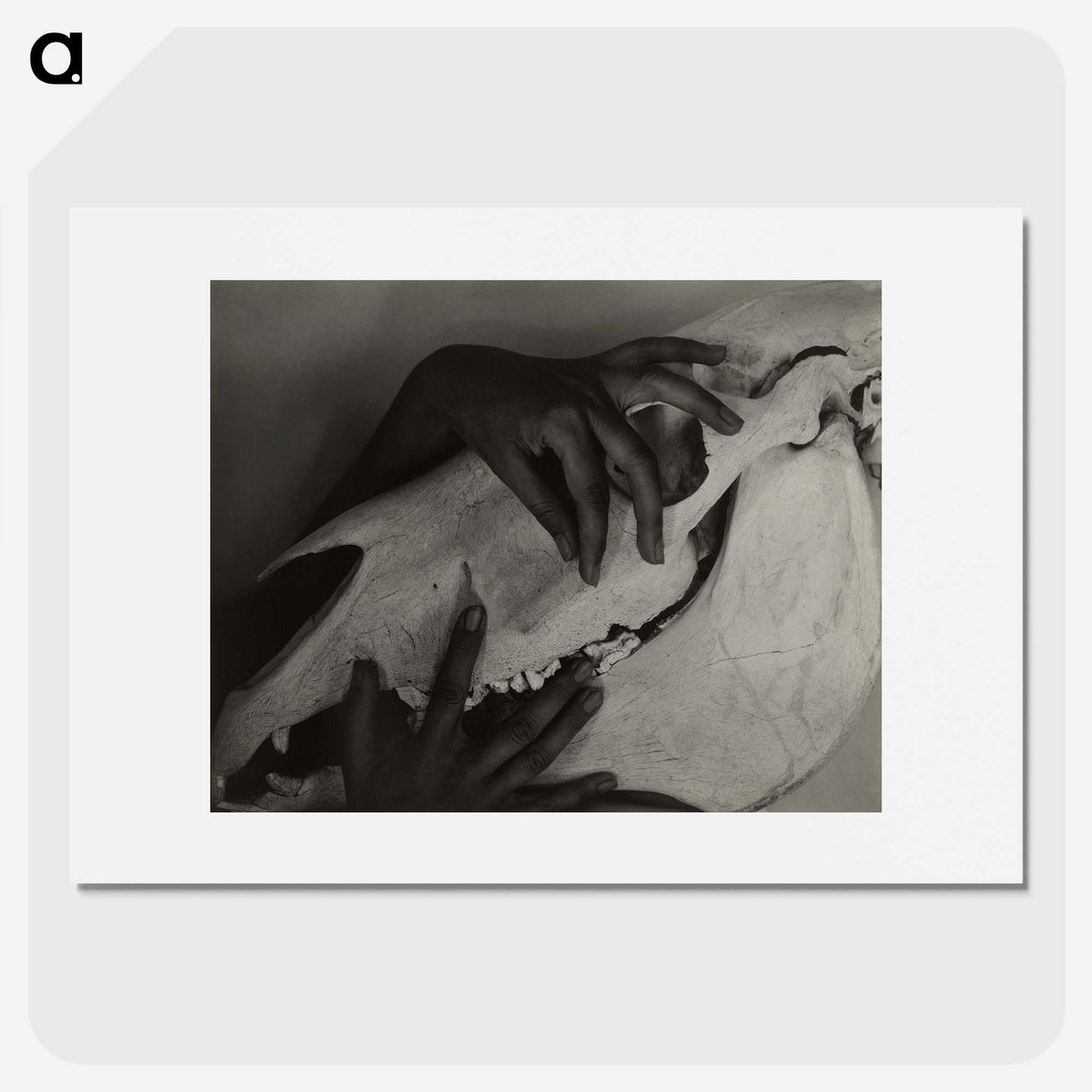 1-5_Alfred-Stieglitz_picture