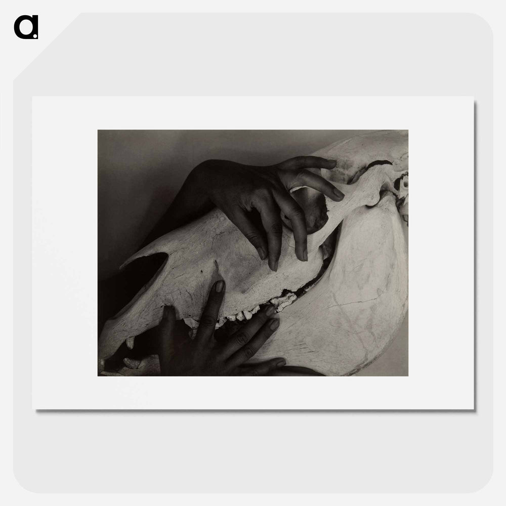 Hands and Horse Skull - アルフレッド スティーグリッツ Poster.