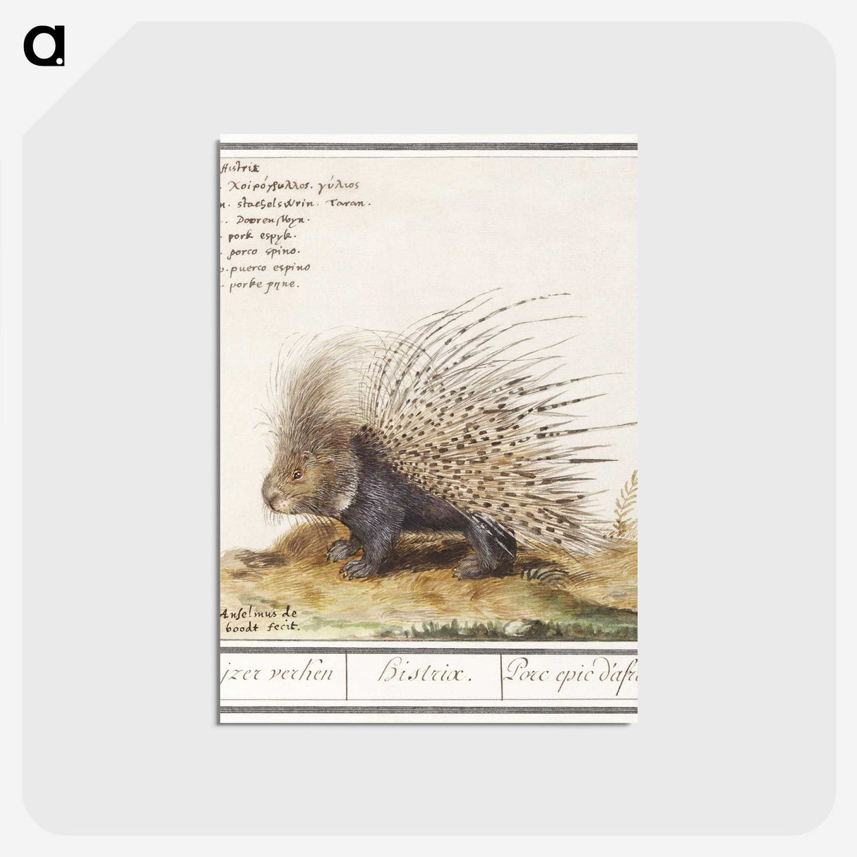 1-5_Anselmus-Boetius-de-Boodt_postcard
