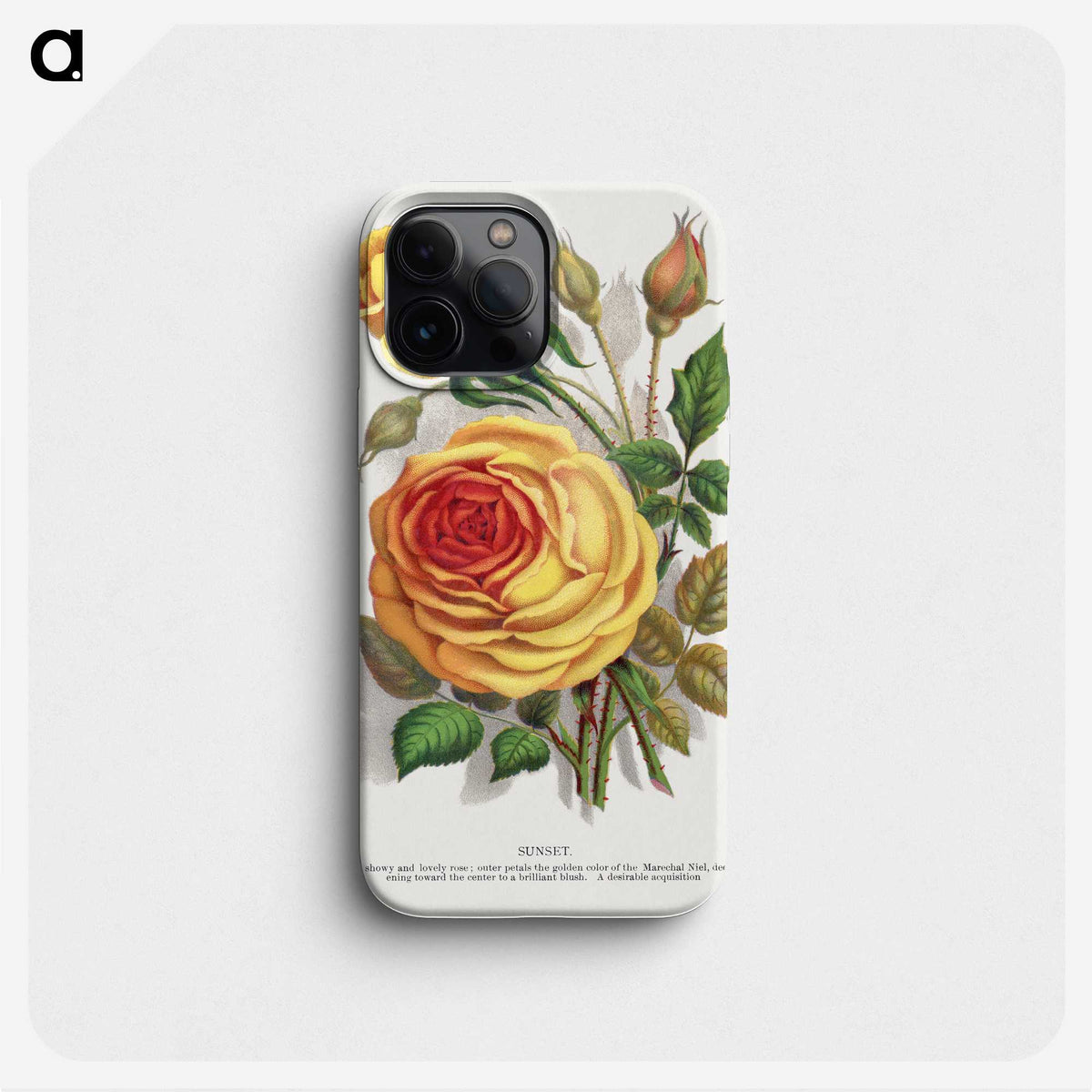 1-5_Botanical-Specimen-Plates_phone