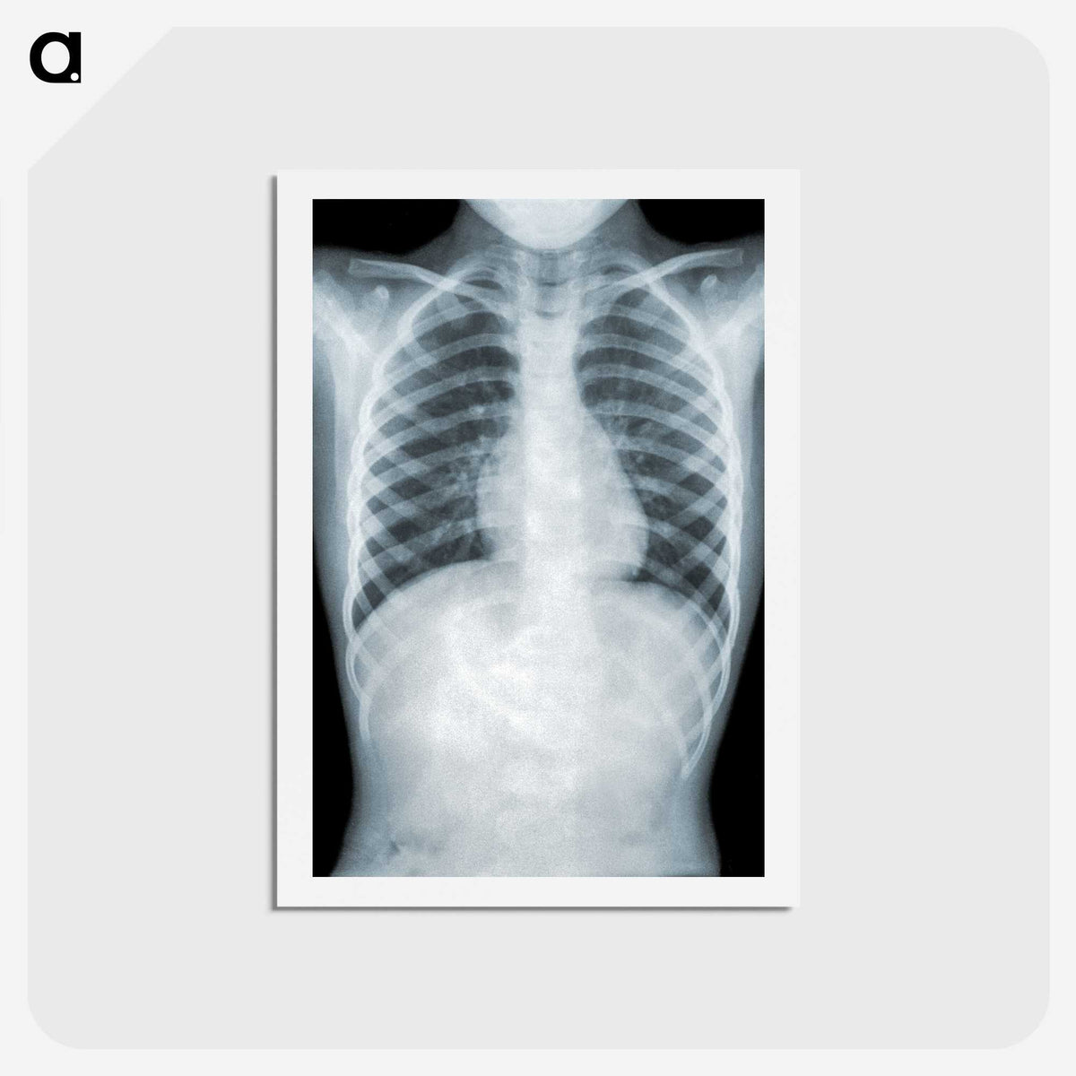 1-5_COVID-19_hagaki