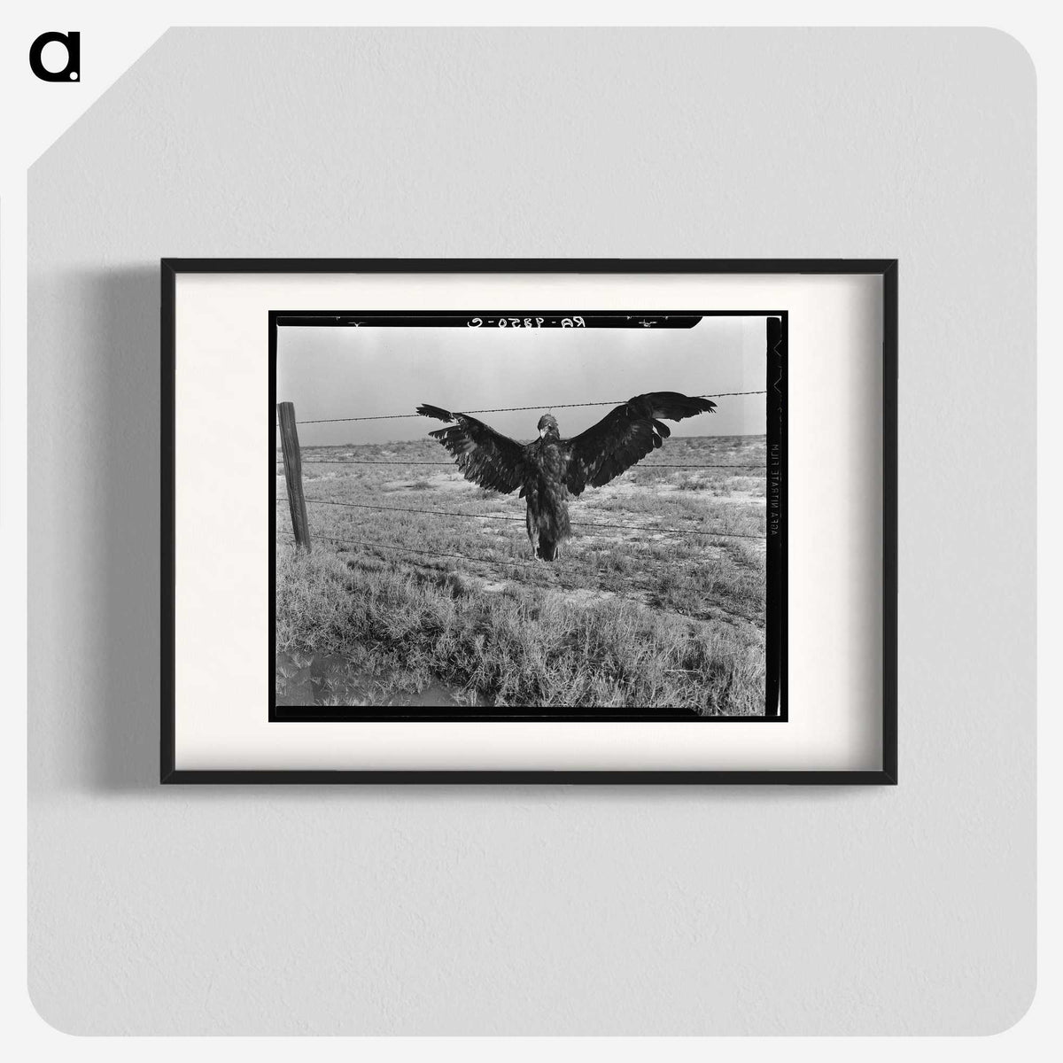 1-5_Dorothea-Lange_blk