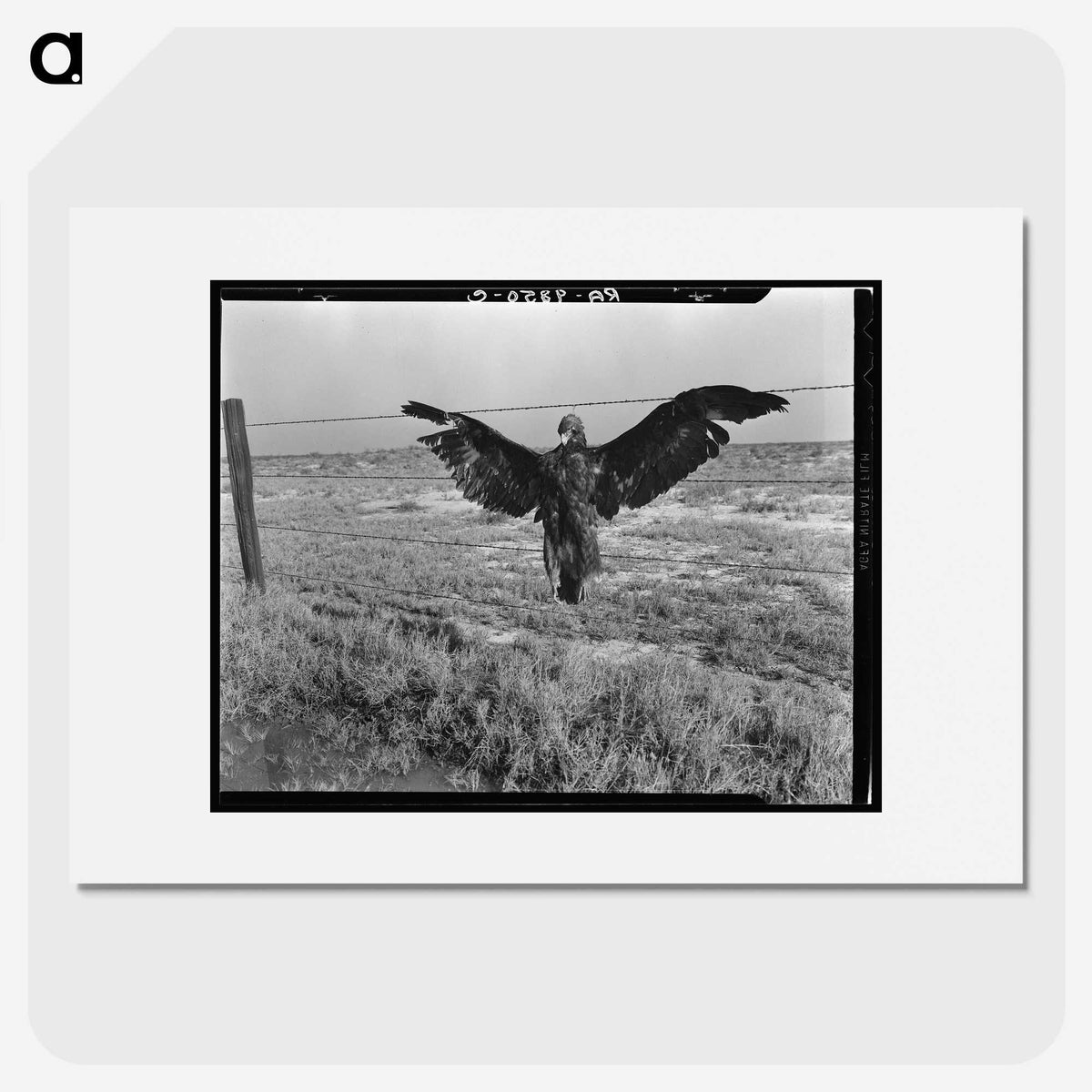 1-5_Dorothea-Lange_picture