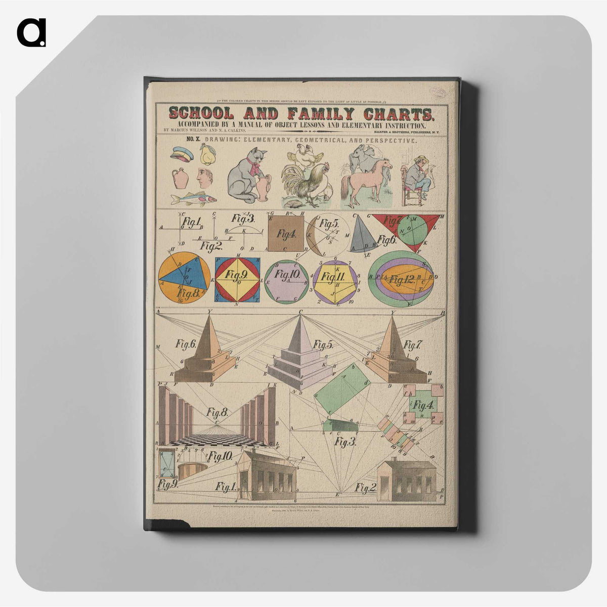 1-5_Education-Charts_canvas
