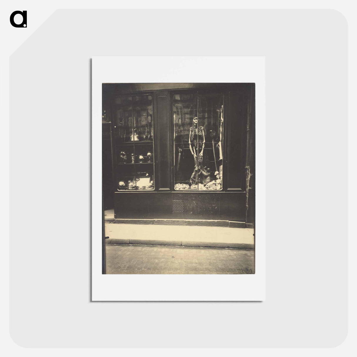 アートポストカード-Naturaliste, rue de l'école de médecine
- ウジェーヌ アジェ Postcard.