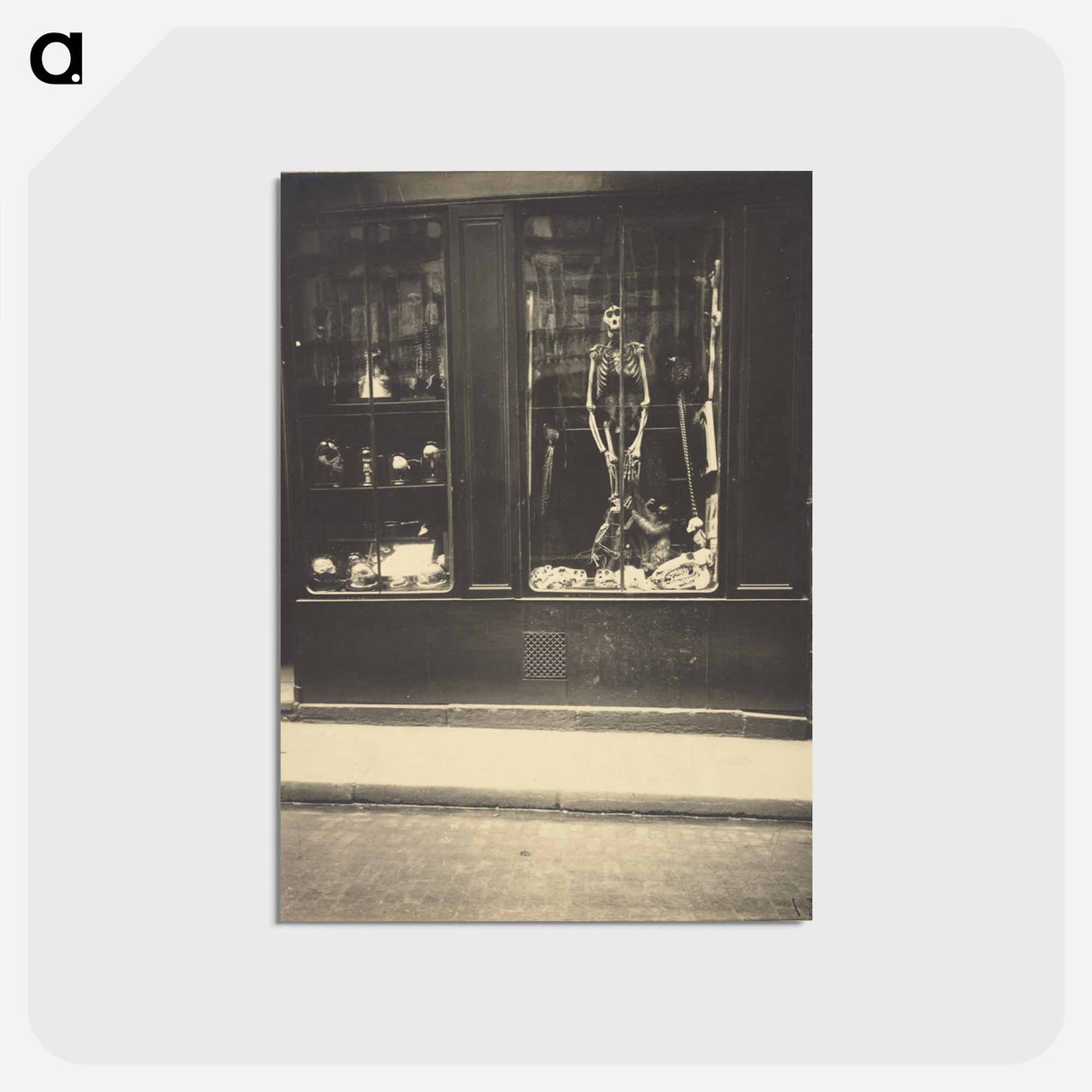アートポストカード-Naturaliste, rue de l'école de médecine
- ウジェーヌ アジェ Postcard.