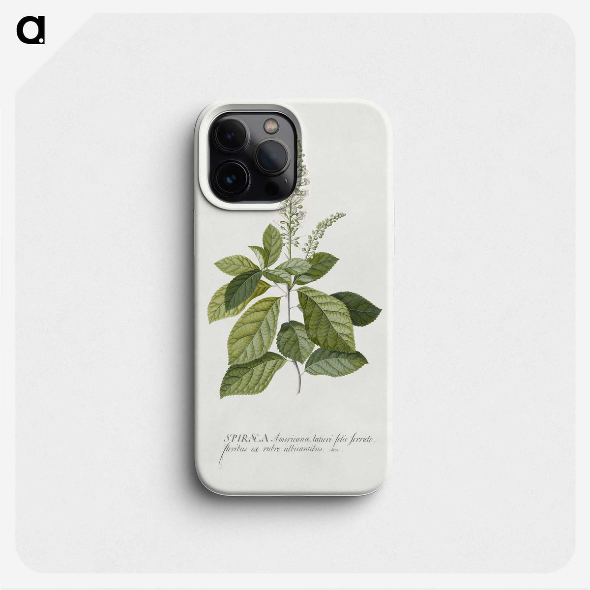 1-5_Georg-Dionysius-Ehret_phone