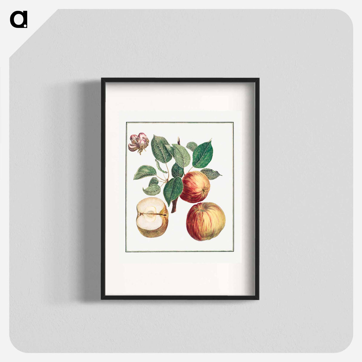 Apple with Leaf and Fruit Blossom - アンリ ルイ デュアメル デュ モンソー Poster.