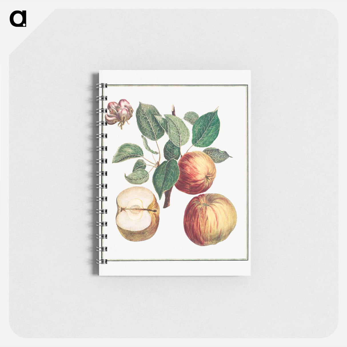 Apple with Leaf and Fruit Blossom - アンリ ルイ デュアメル デュ モンソー Memo.