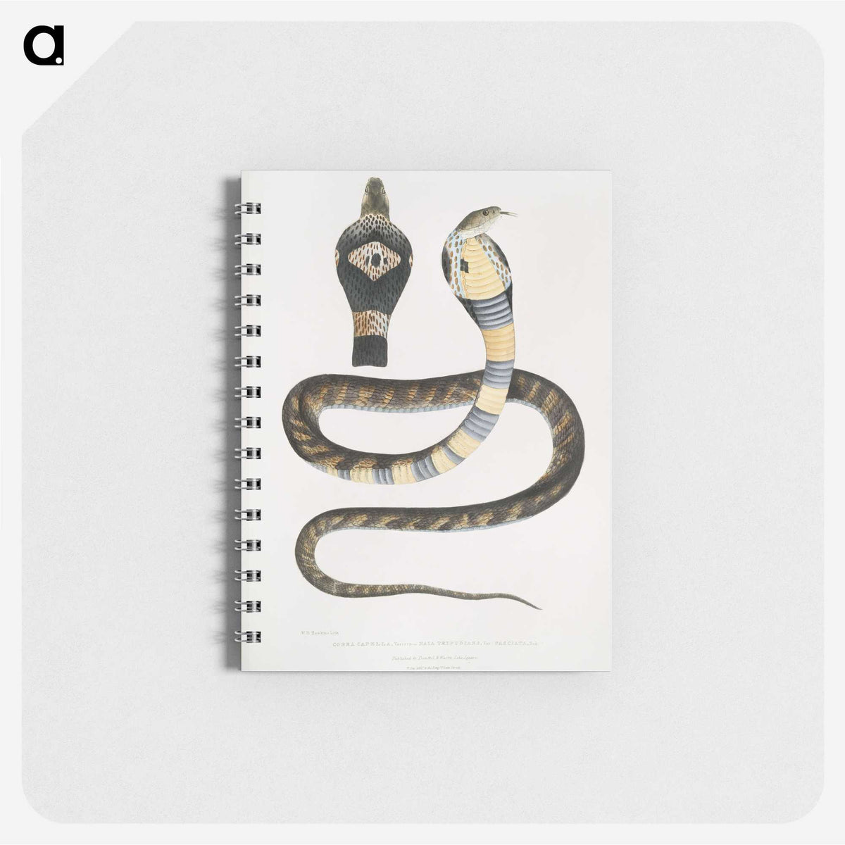1-5_Indian-Zoology_memo