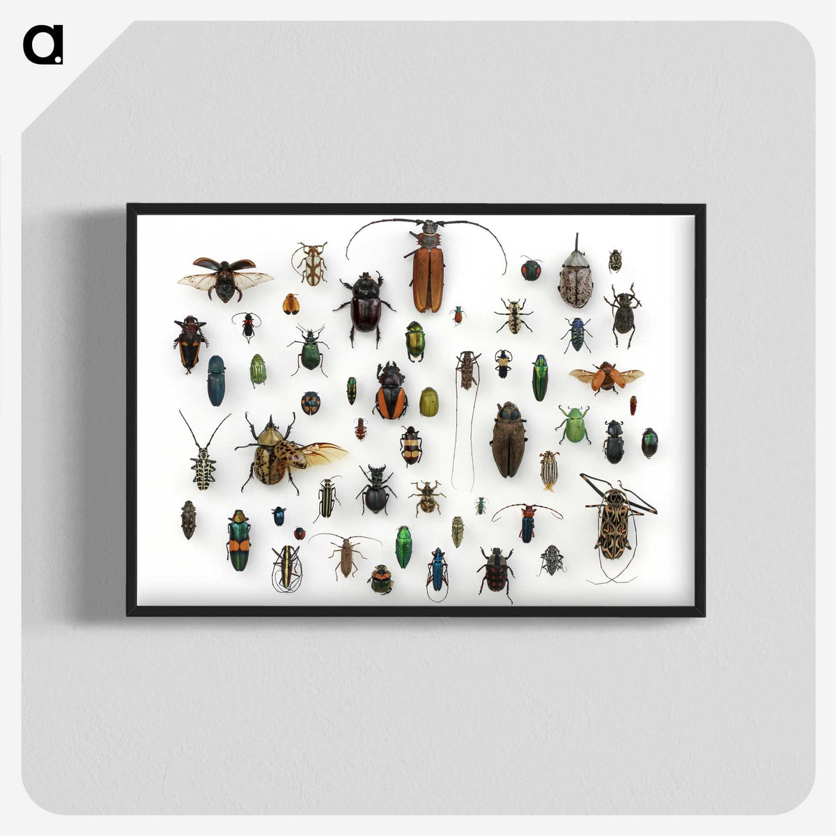1-5_Insects-Unlocked-Project_blk-crop