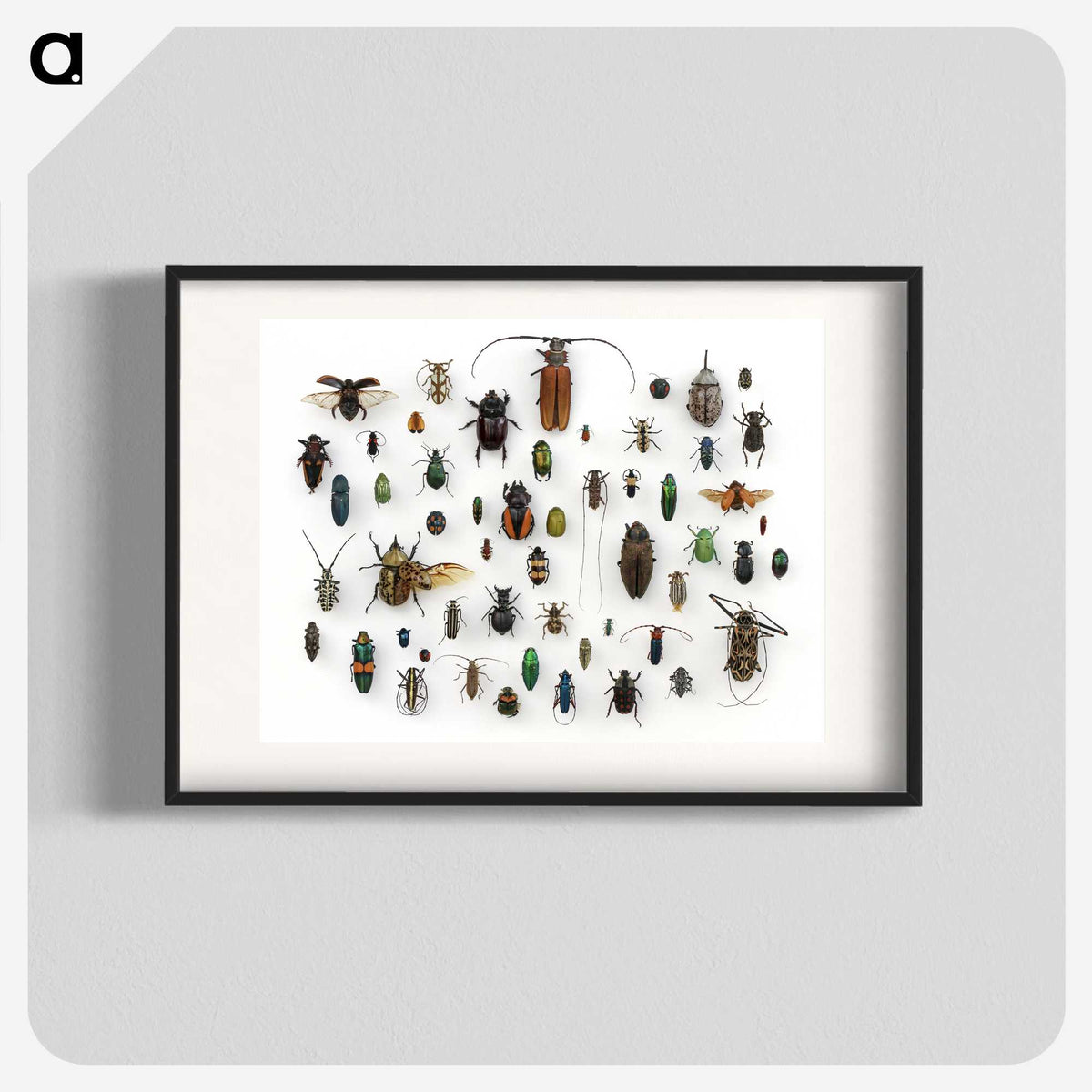 1-5_Insects-Unlocked-Project_blk