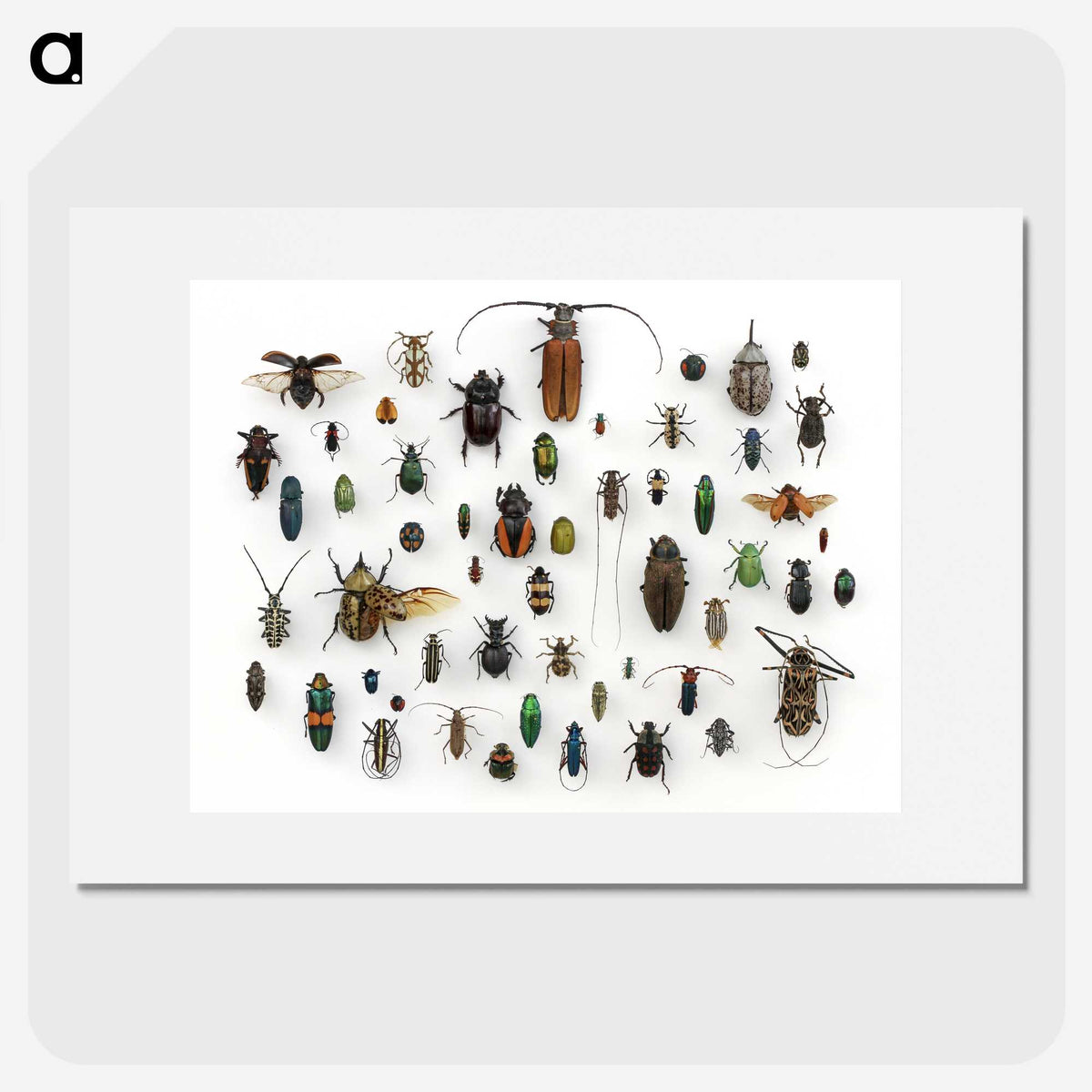 1-5_Insects-Unlocked-Project_picture