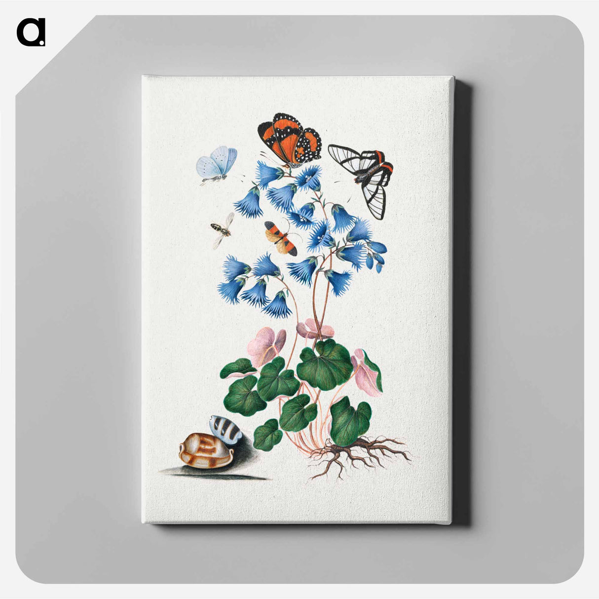 アートパネル-Anna Blackburne's Natural History Cabinet
- ジェームズ ボルトン Canvas.