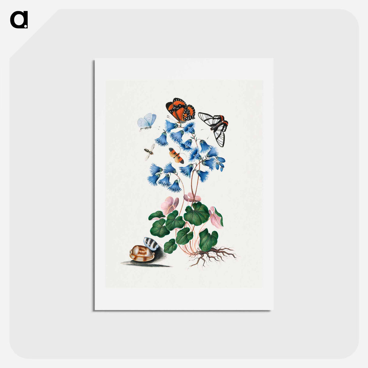 アートポストカード-Anna Blackburne's Natural History Cabinet
- ジェームズ ボルトン Postcard.