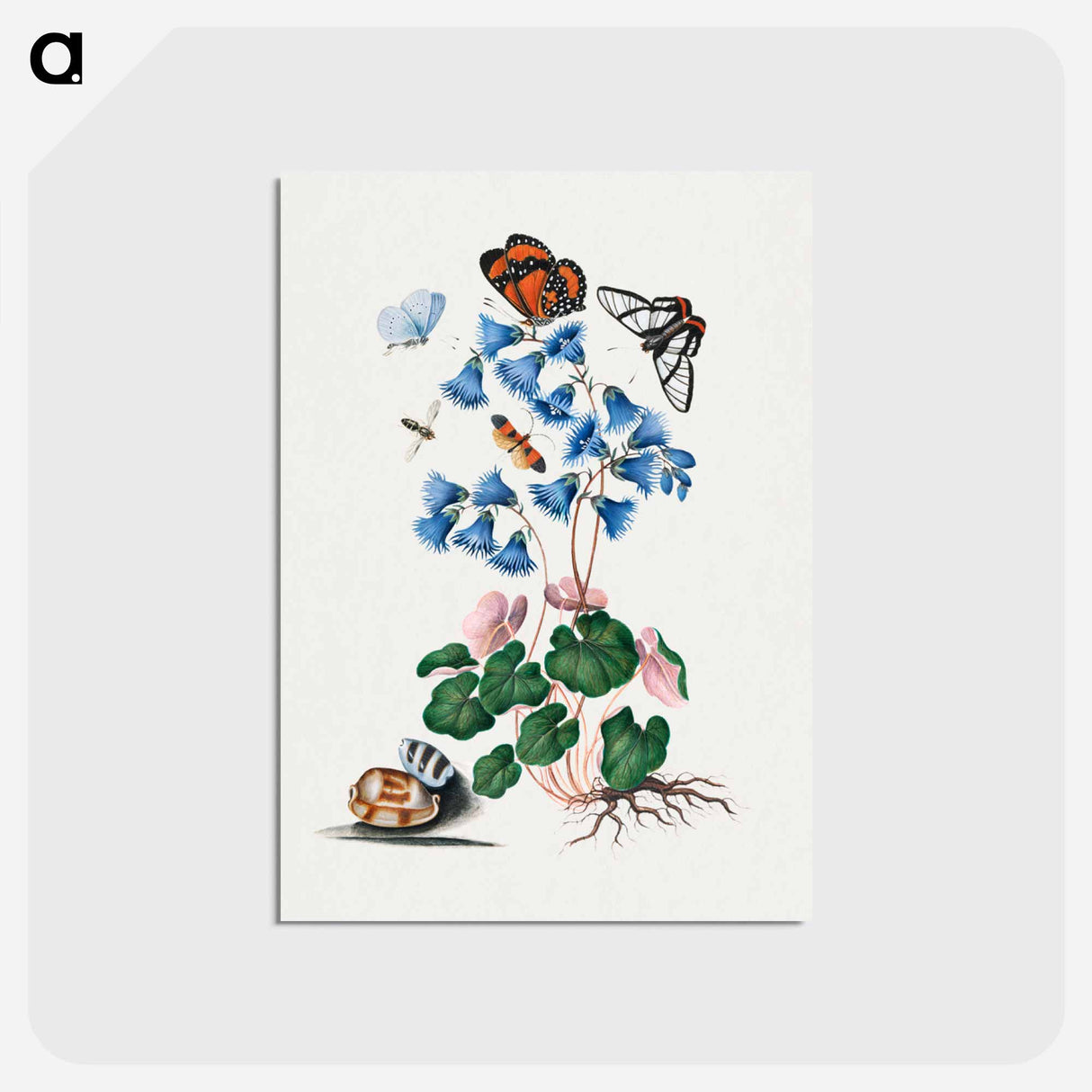 アートポストカード-Anna Blackburne's Natural History Cabinet
- ジェームズ ボルトン Postcard.