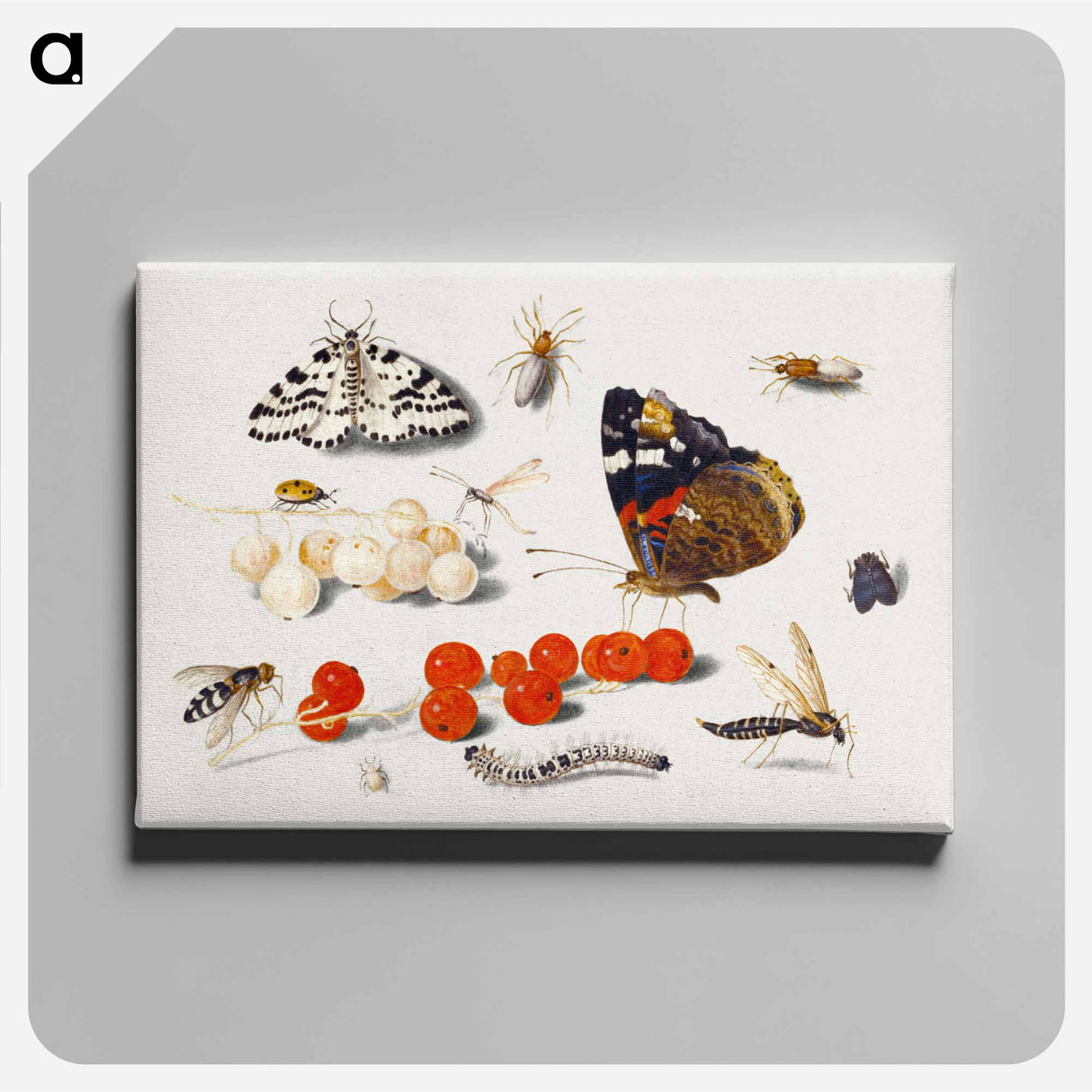 アートパネル-Butterfly, Caterpillar, Moth, Insects, and Currants
- ヤン ファン ケッセル Canvas.