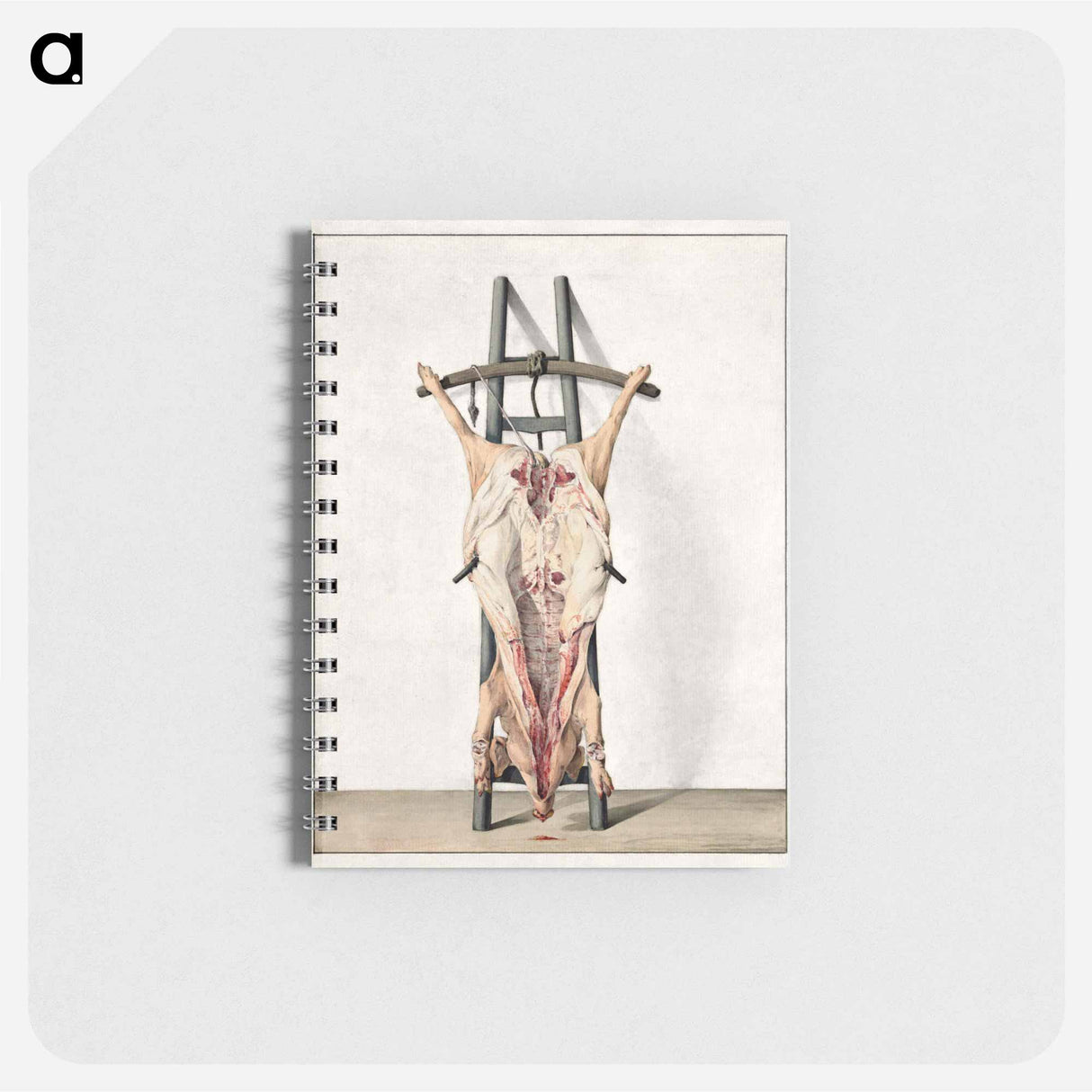 Dead pig - ジャン ベルナール Memo.