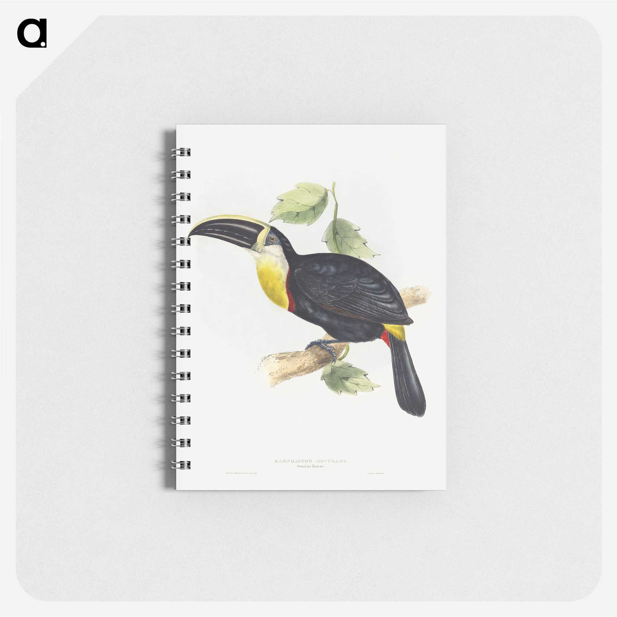 1-5_John-Gould_memo